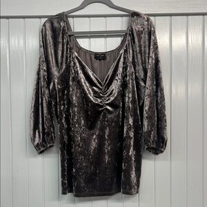 Lane Bryant Velvet Blouse in Rich Gray Size 18/20W